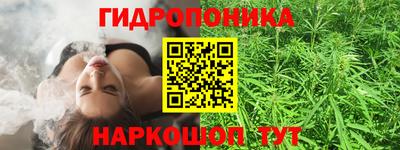 дурь Гусев