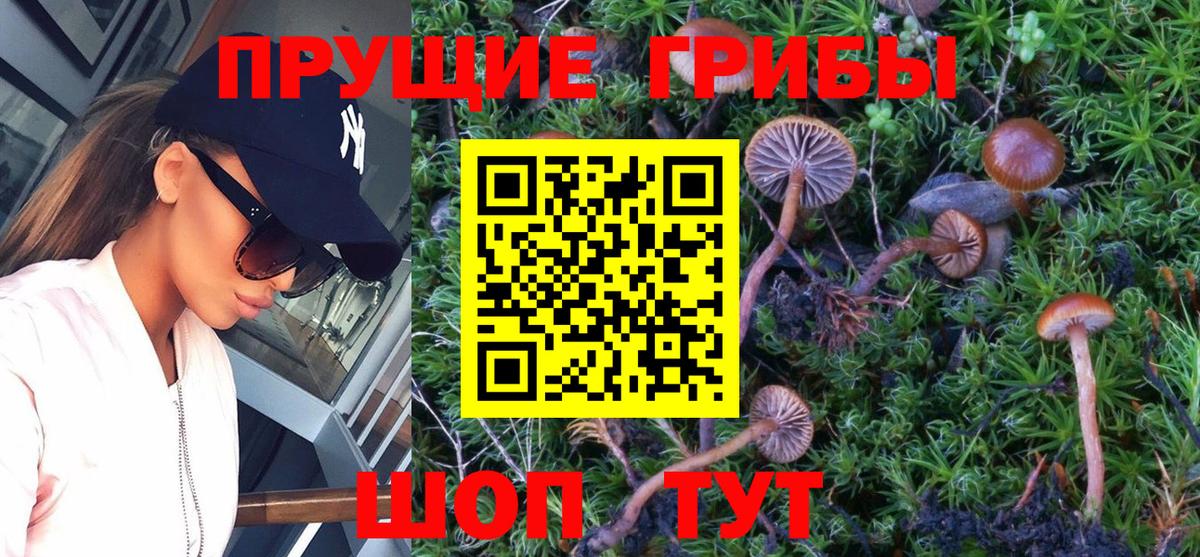 Галлюциногенные грибы мухоморы  Вход с VPN  Кинель 