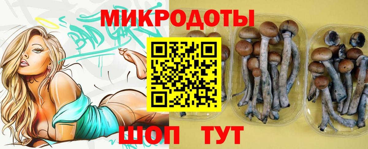Псилоцибиновые грибы ЛСД Кинель